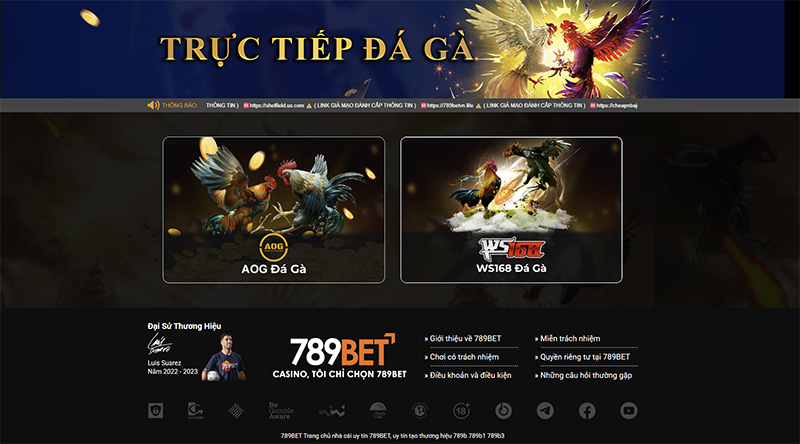 789Bet sở hữu sảnh đá đá Thomo độc quyền