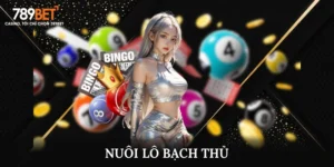 Nuôi Lô Bạch Thủ Là Gì? Bí Quyết Soi Cầu Chuẩn Xác 