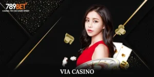 ViA Casino - Không Gian Sòng Bạc Trực Tuyến Cực Ăn Khách 