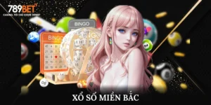 Tìm Hiểu Về Xổ Số Miền Bắc Và Cách Dự Đoán Kết Quả