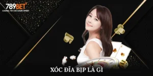 Xóc Đĩa Bịp Là Gì? Cách Nhận Biết Cực Chuẩn Từ Cao Thủ